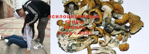 марихуана Арсеньев