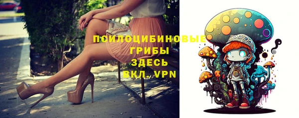 дмт Армянск