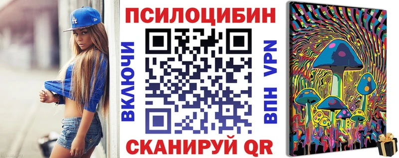 Псилоцибиновые грибы Cubensis  Купить где  Бирюч 